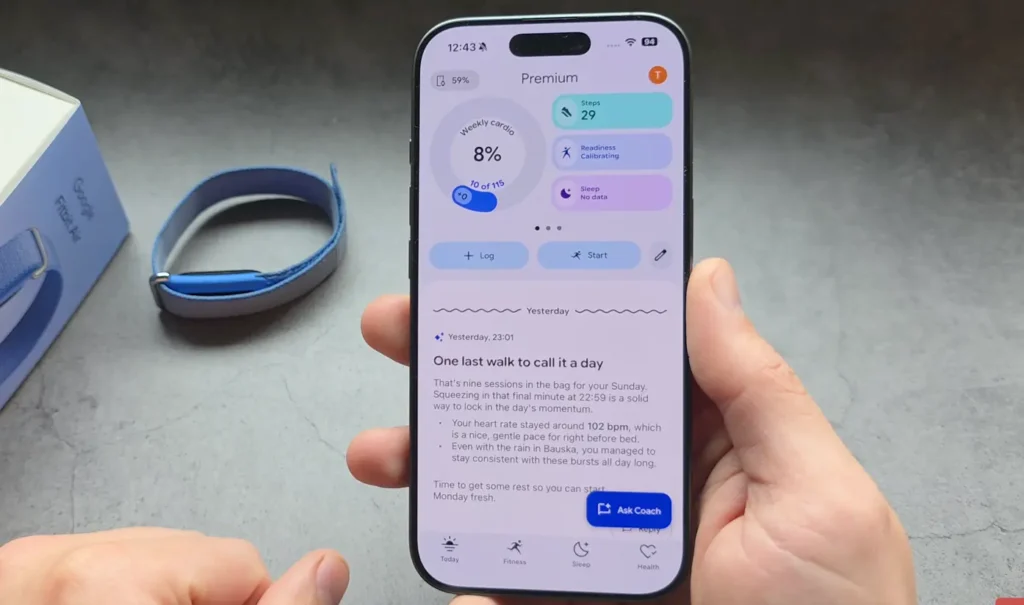 AI Snippets in Fitbit Air Premium