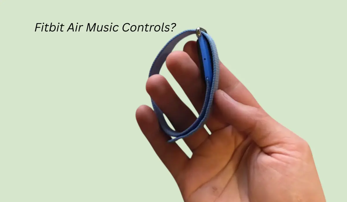 Does the Fitbit Air Have Music