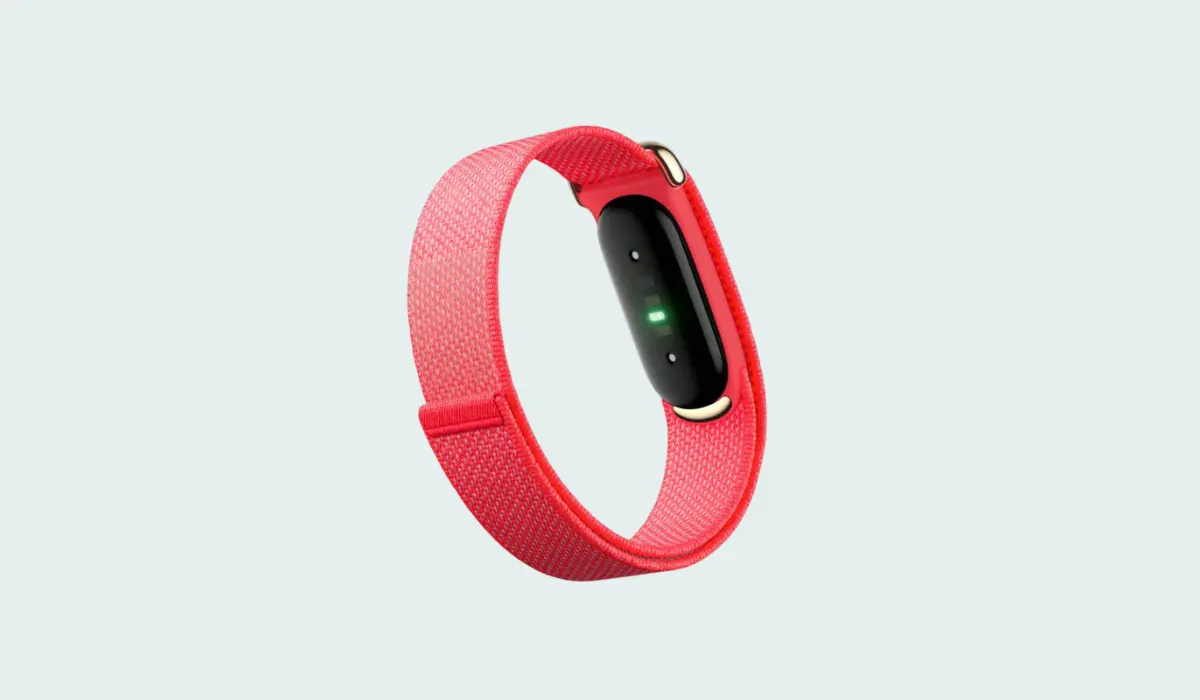 Setup Google Fitbit Air